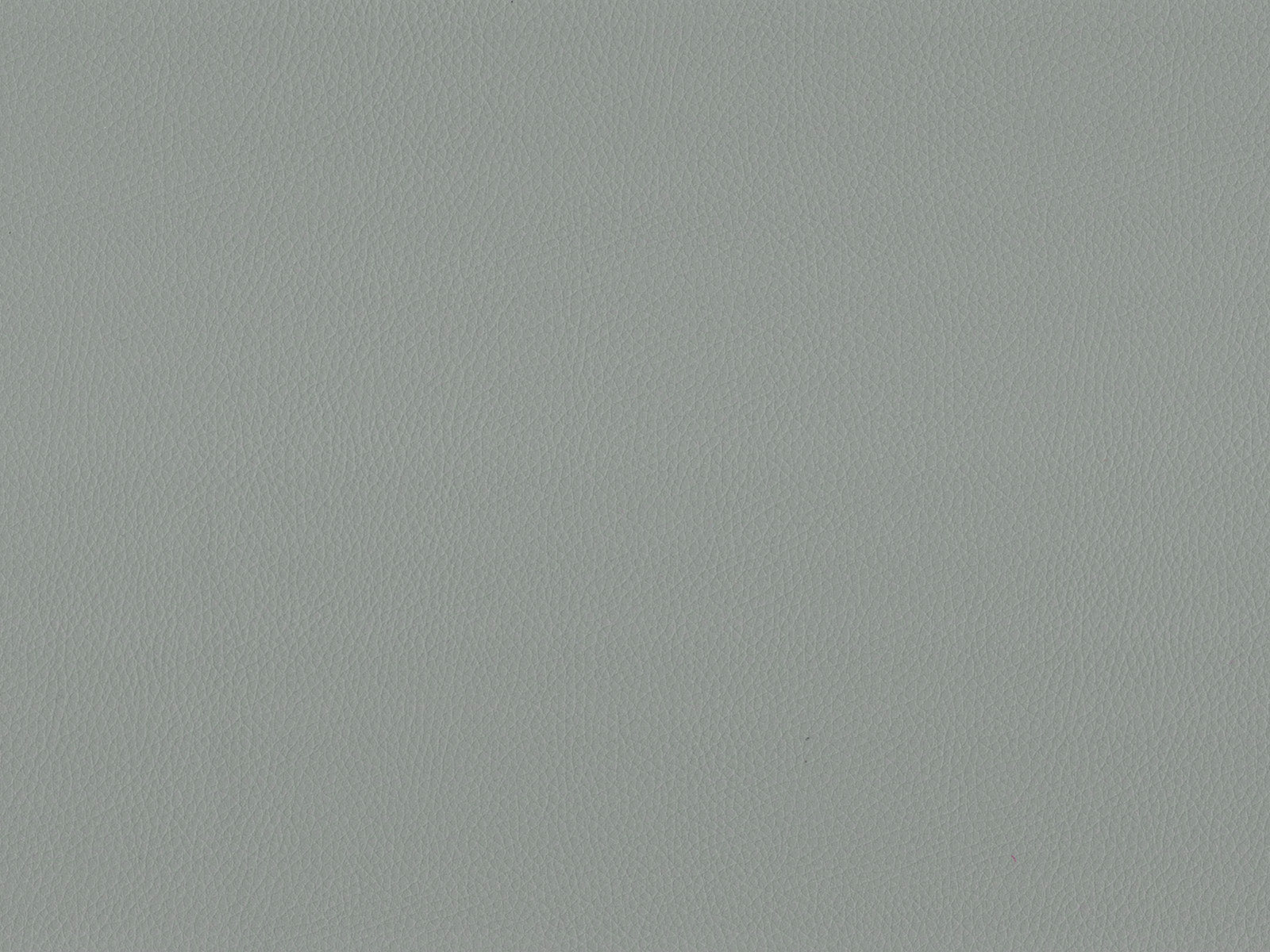 Maximo-FR mist - 3405