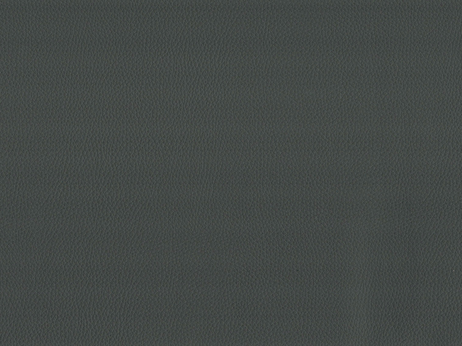 Maximo-FR Grey - 3407