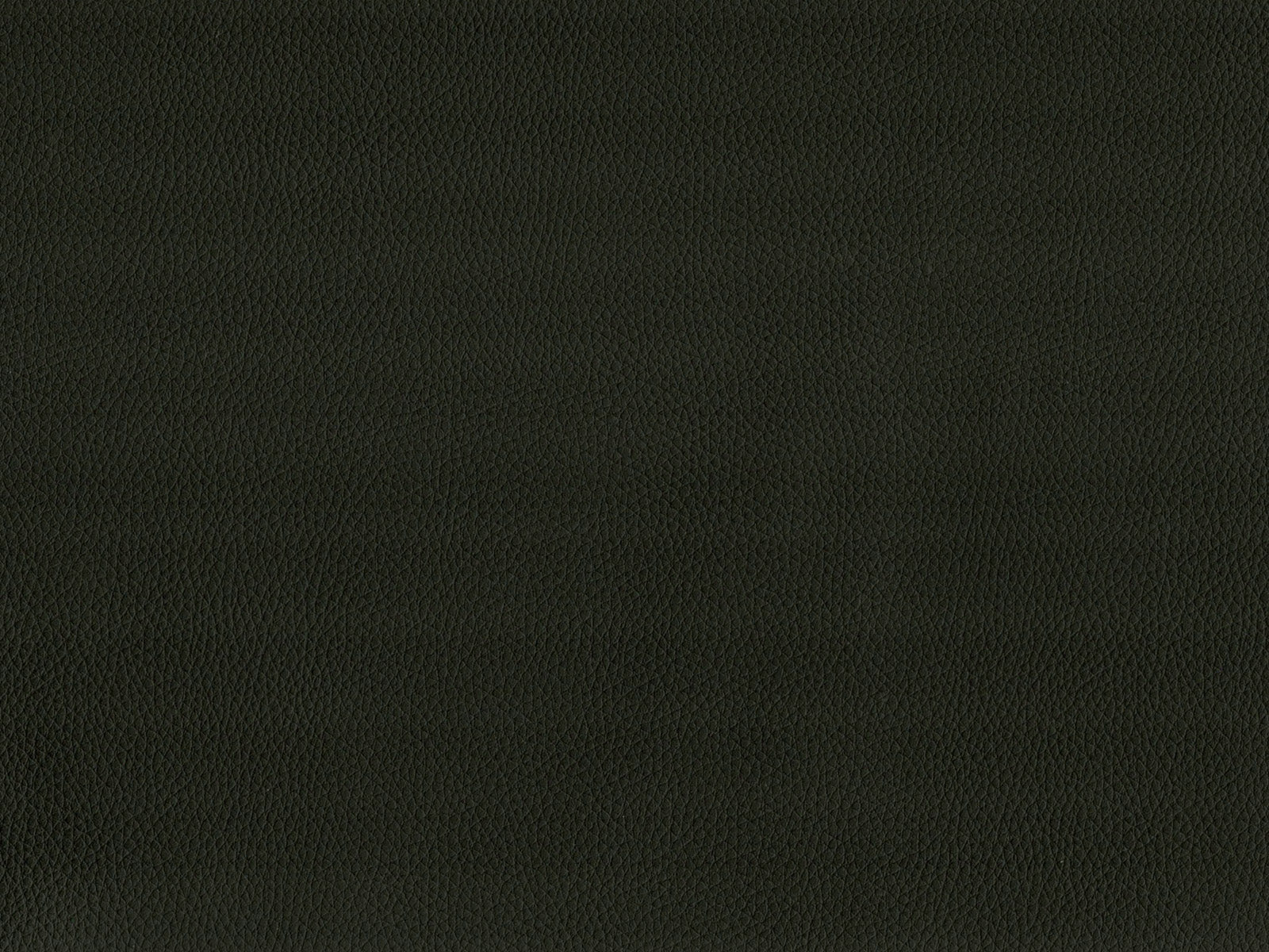 Maximo-FR Black - 3408