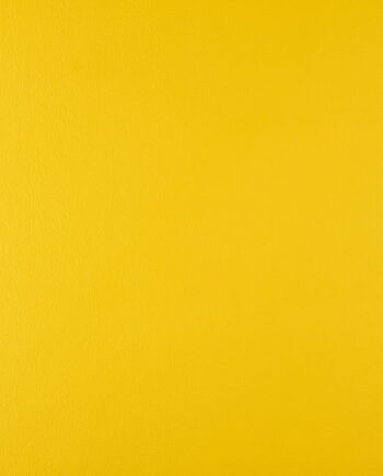 Just Colour - Marigold