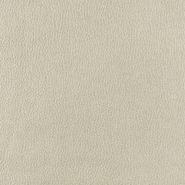 Frankie - Sand Drift