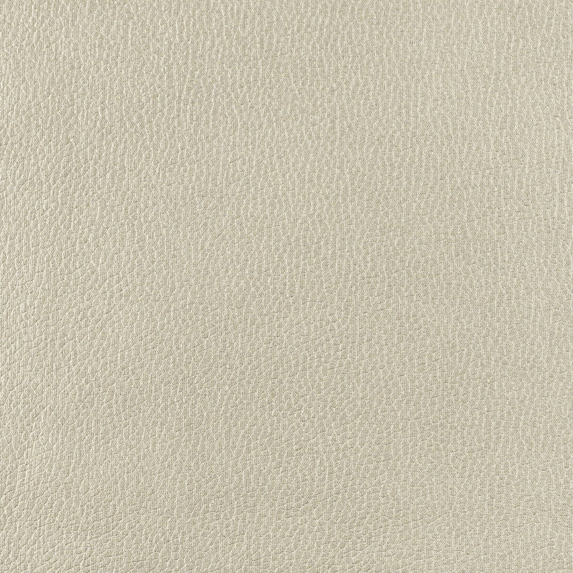 Frankie - Sand Drift