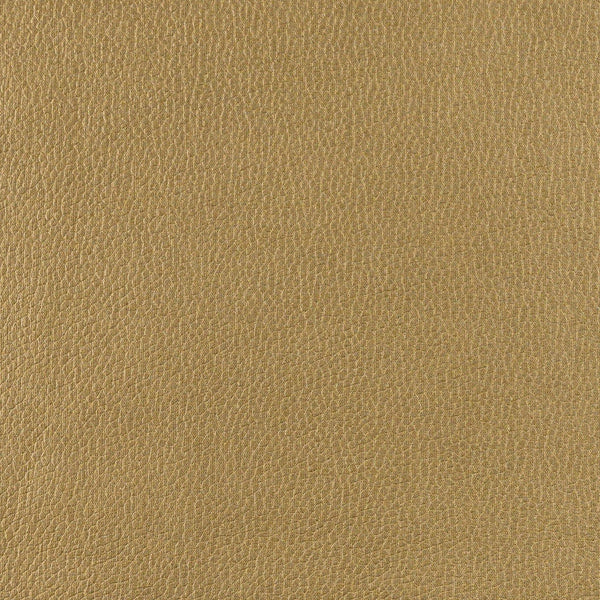 Frankie - Golden Honey