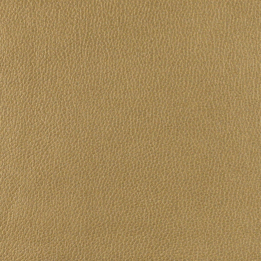 Frankie - Golden Honey