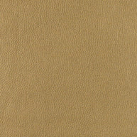 Frankie - Golden Honey