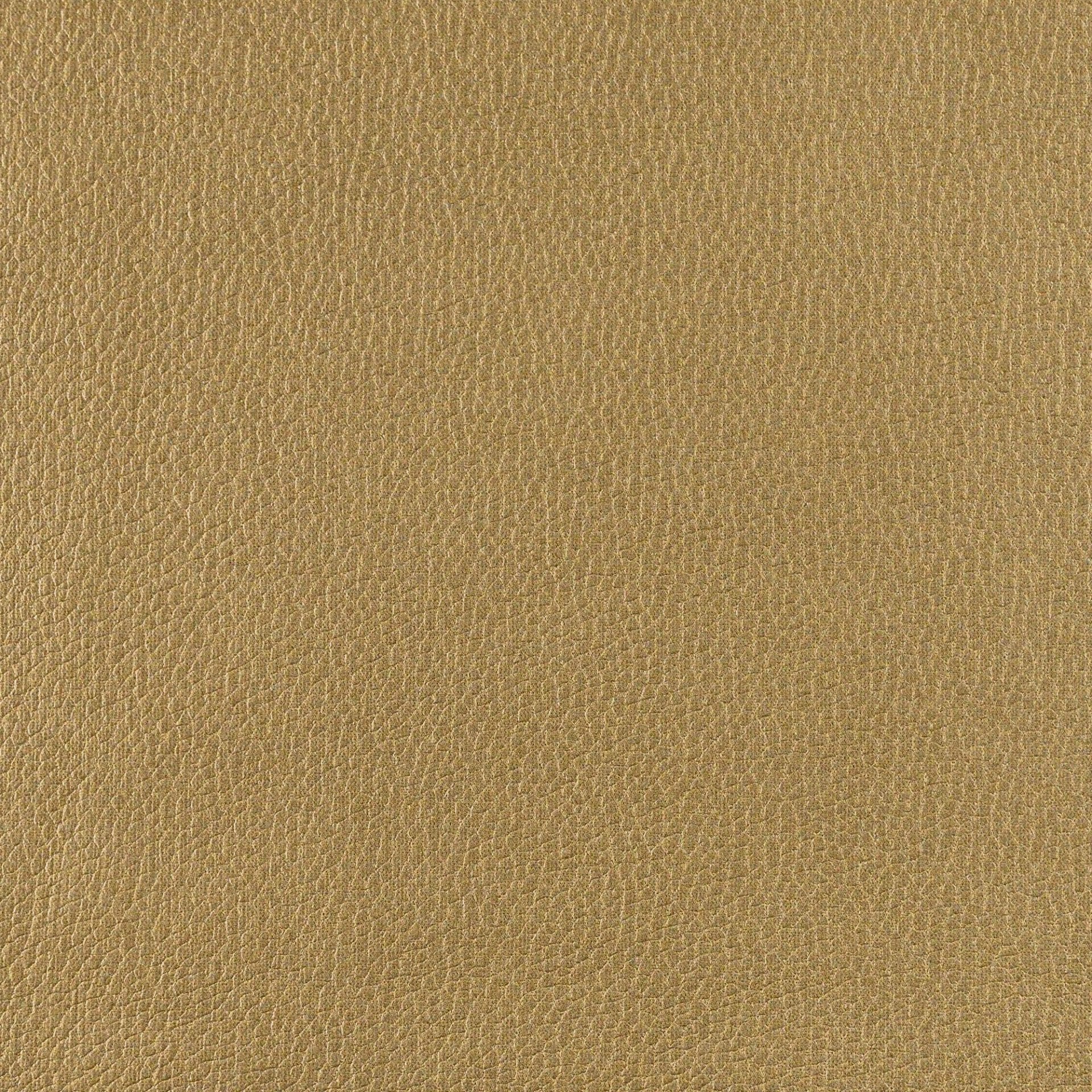 Frankie - Golden Honey