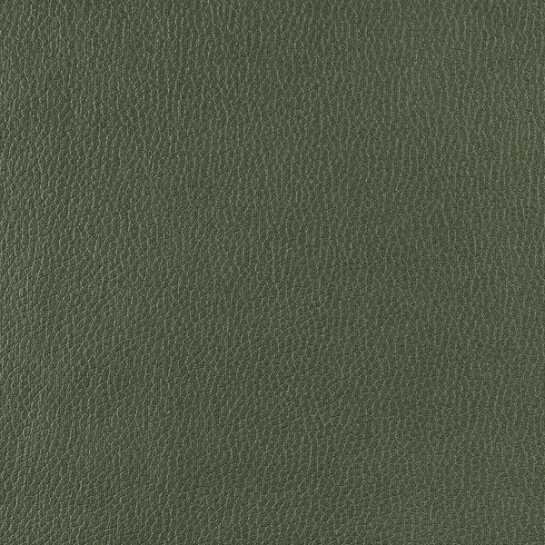 Frankie - Olive Grove