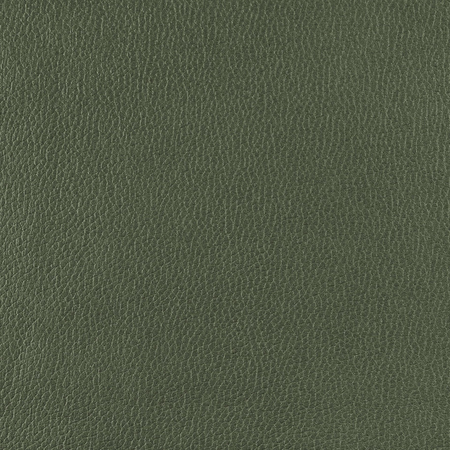 Frankie - Olive Grove