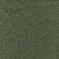 Frankie - Olive Grove