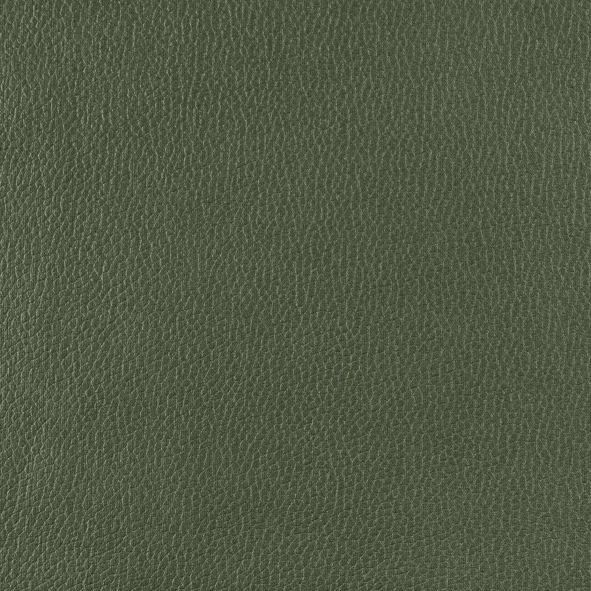 Frankie - Olive Grove