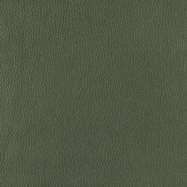 Frankie - Olive Grove