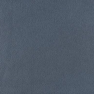 Frankie - Ocean Blue