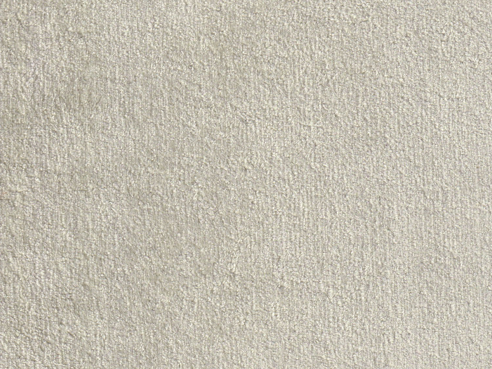 Polare-FR Oyster