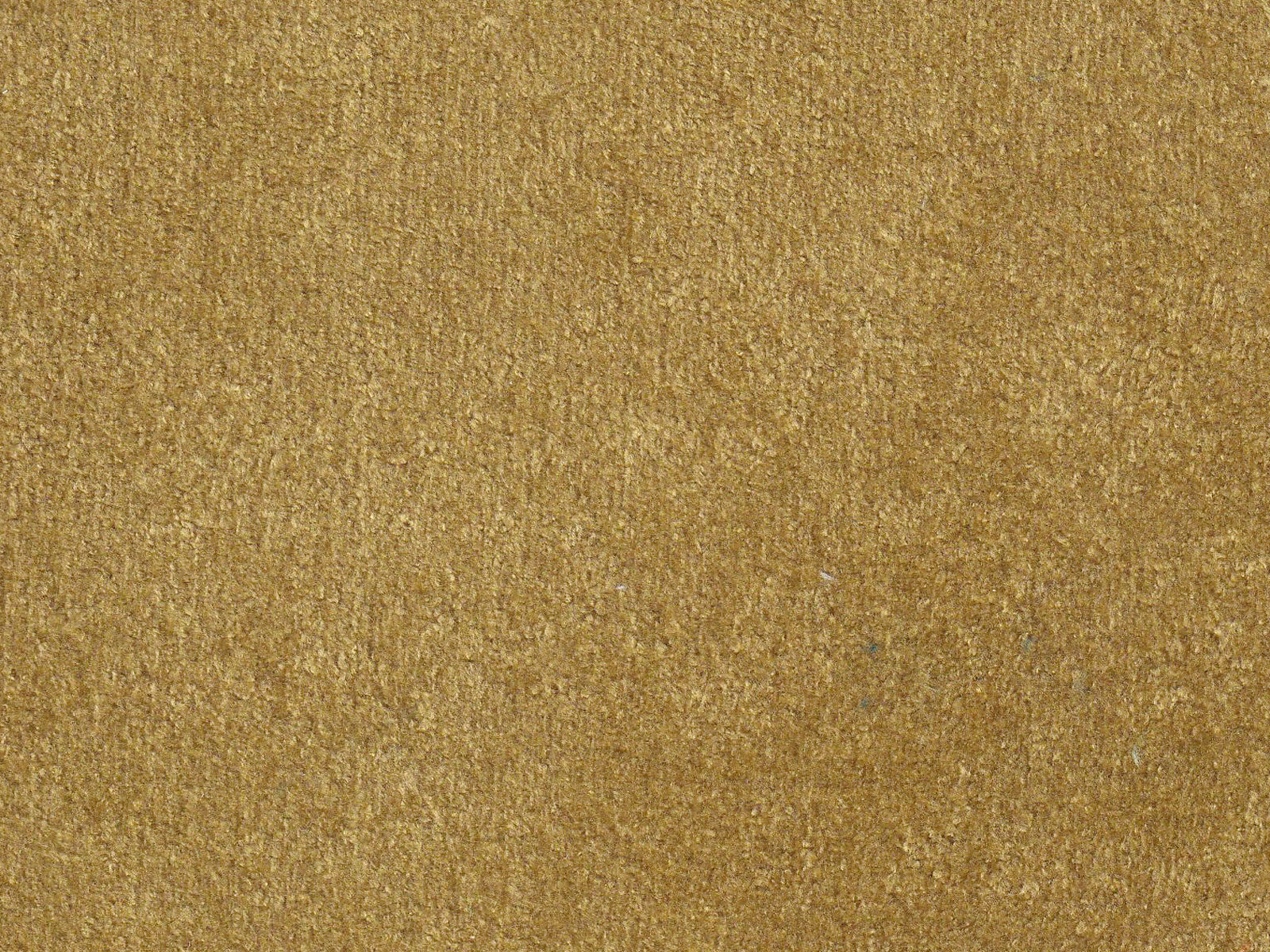 Polare-FR Bronze