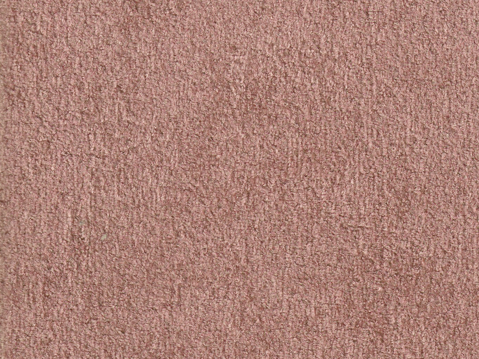 Polare-FR Rose