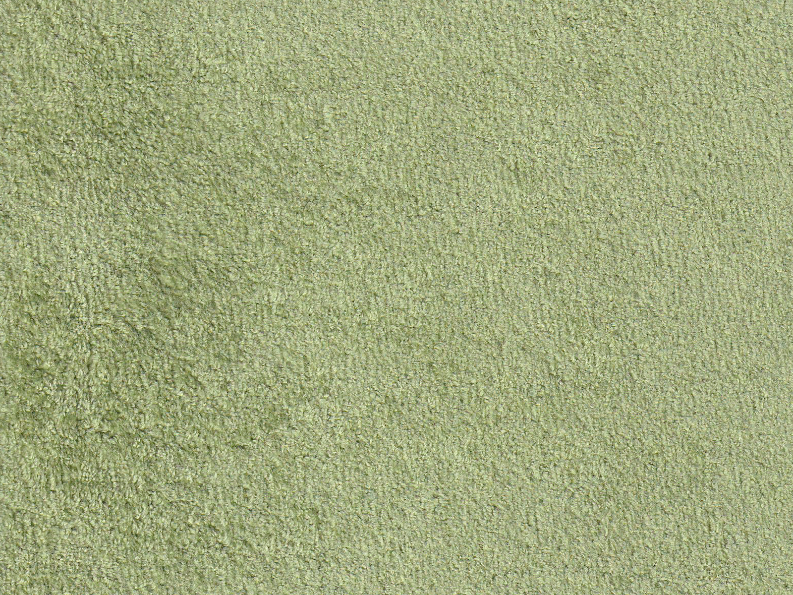 Polare-FR Lime