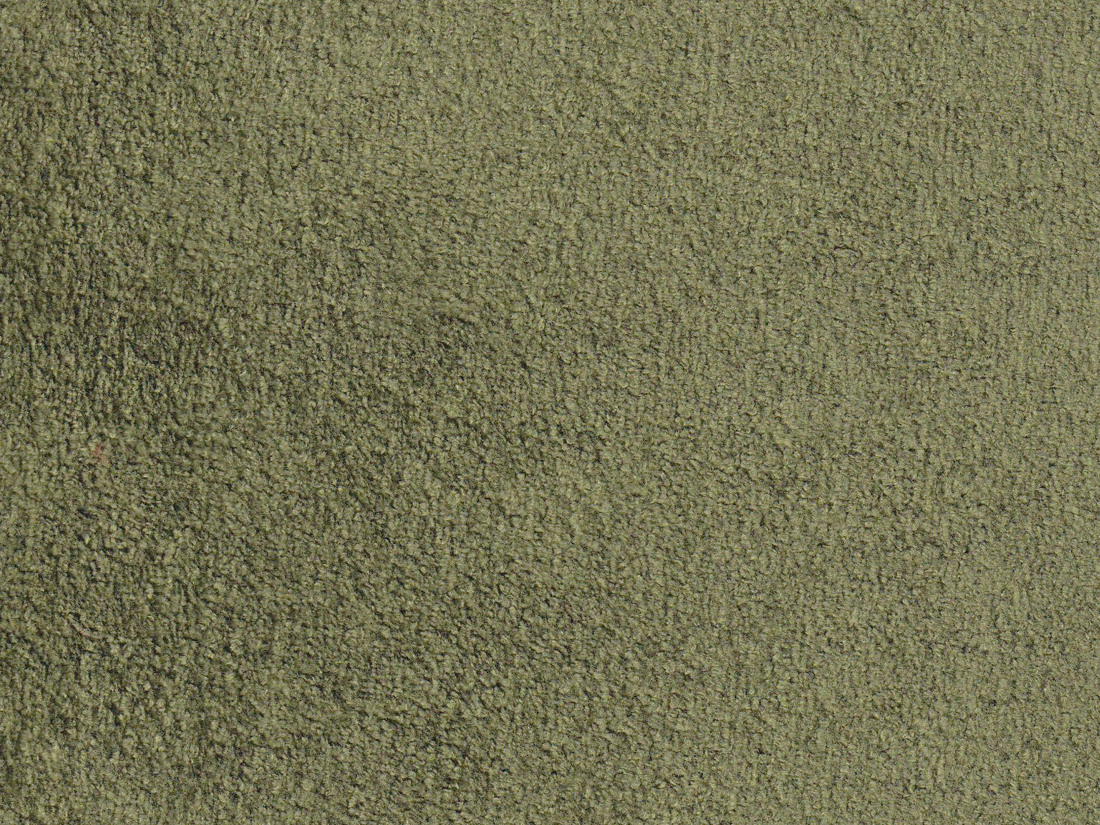 Polare-FR Meadow