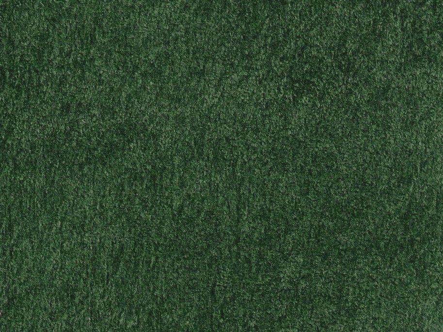 Polare-FR Olive