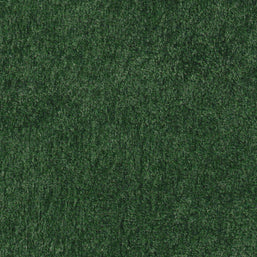 Polare-FR Olive