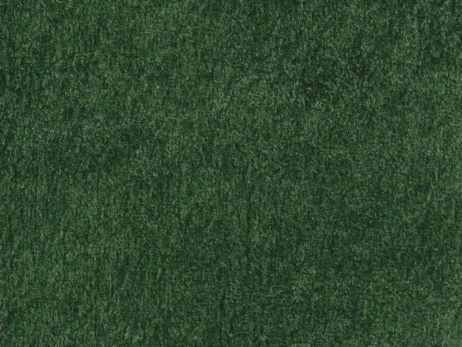 Polare-FR Olive