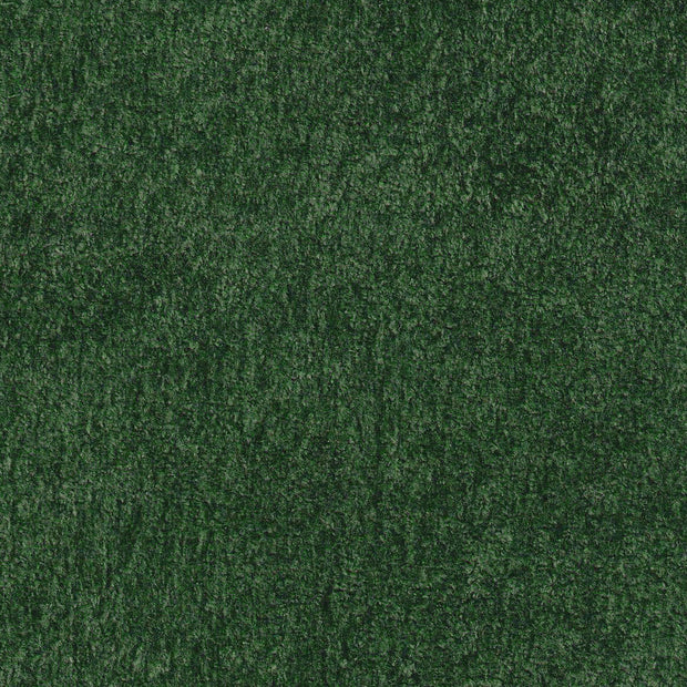 Polare-FR Olive