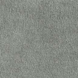 Polare-FR Goose