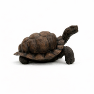 Realistic tortoise ornament with a textured brown shell displayed on a rustic wooden shelf next to a potted plant.