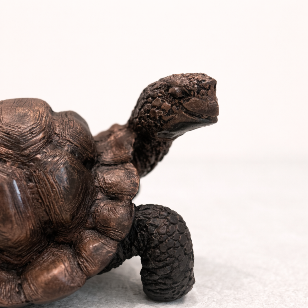 Tortoise Ornament