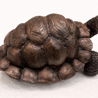 Tortoise Ornament