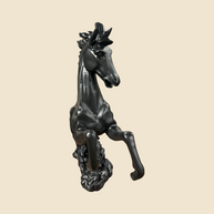 Regal Midnight Stallion