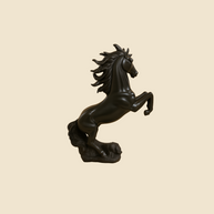 Regal Midnight Stallion