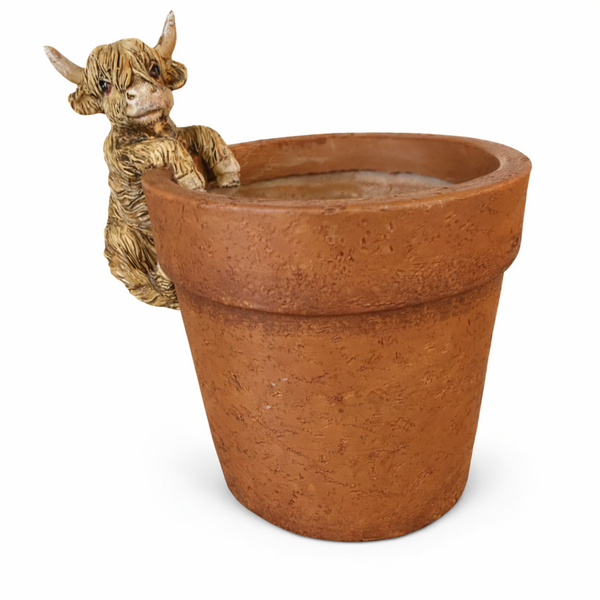 Highland Calf Garden Pot