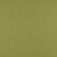 Just Colour - Wasabi