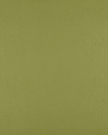 Just Colour - Wasabi