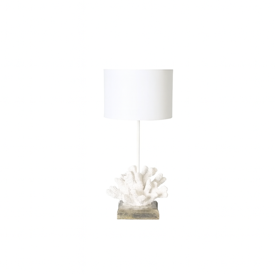 White Shell Table Lamp
