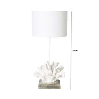 White Shell Table Lamp with sizing on a white background