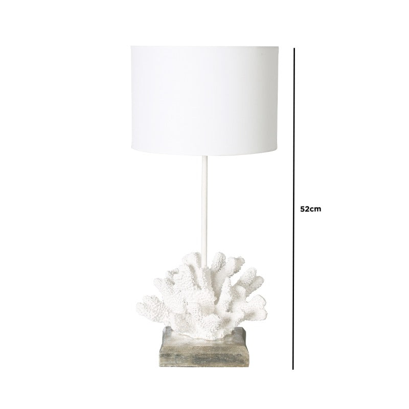 White Shell Table Lamp with sizing on a white background