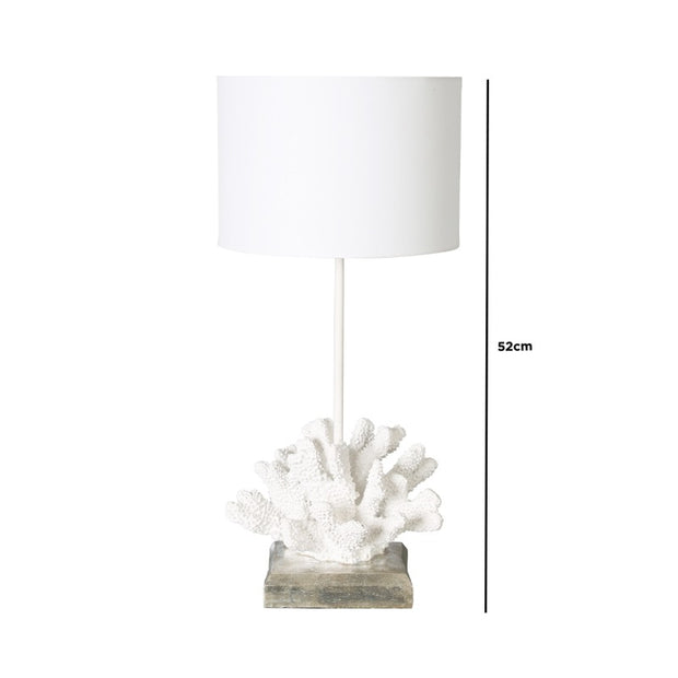 White Shell Table Lamp with sizing on a white background