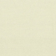 All Seasons - Oyster