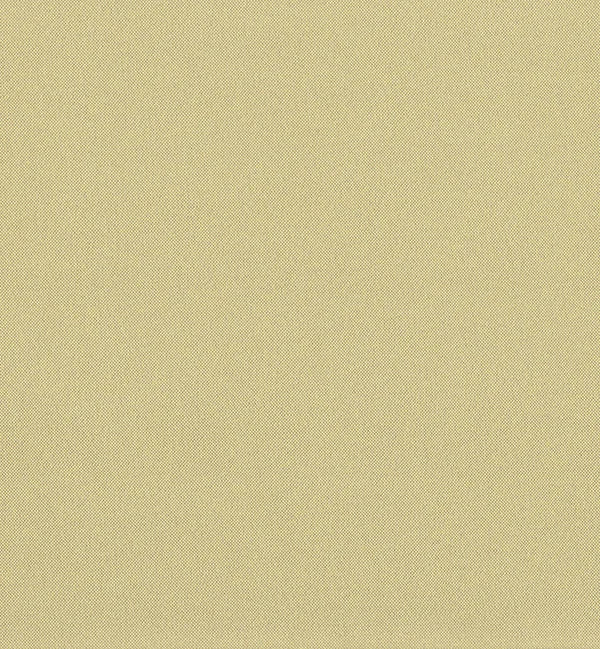 All Seasons - Champagne