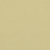 All Seasons - Champagne