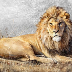 Canvas Oil Laying Lion