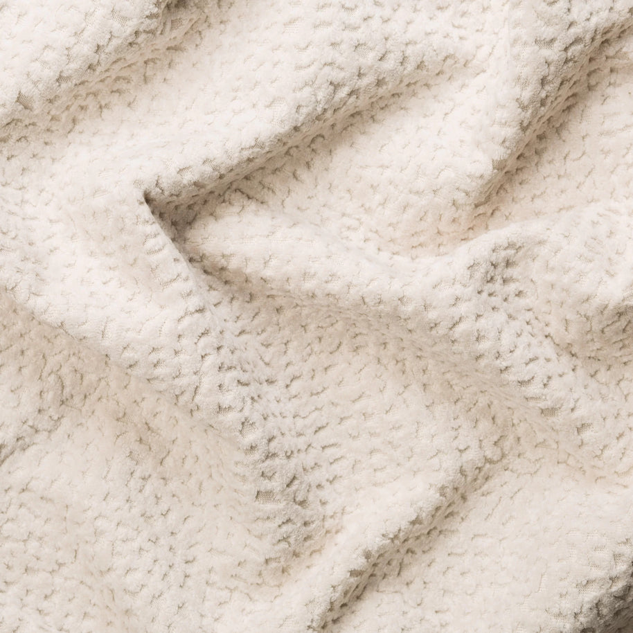 Jaguar - Cream-FR