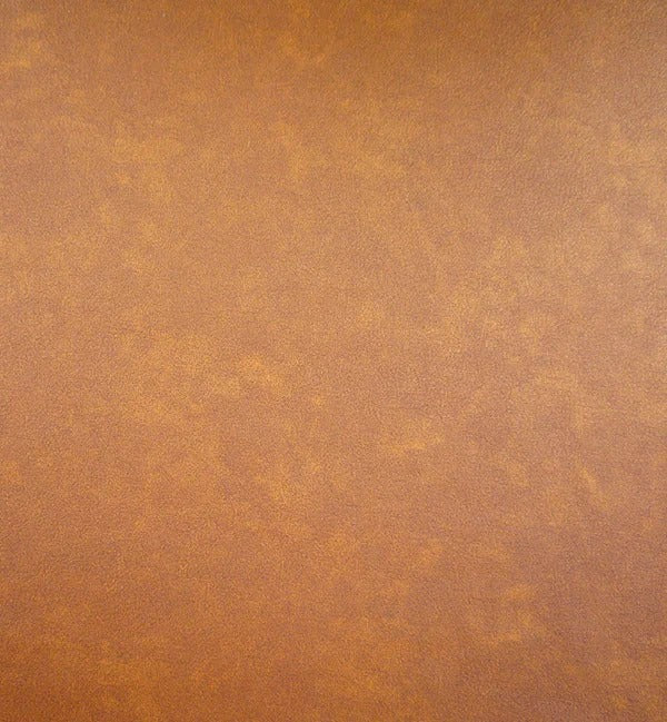 Infiniti - Camel