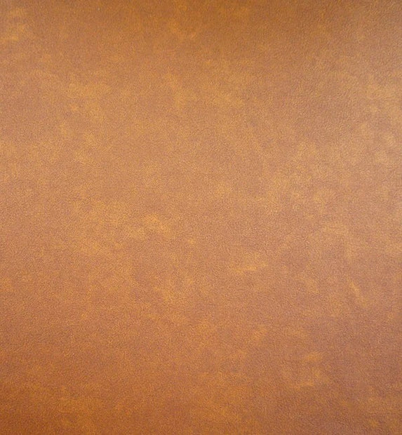 Infiniti - Camel
